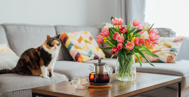 Bienvenida la primavera: renueva tu hogar con pequeños cambios